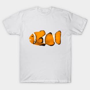 Clown fish orange with white stripes T-Shirt